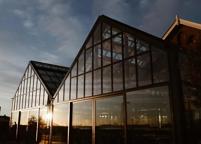 Amerika 4* Hoek van Holland